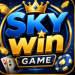 SKYwin Game