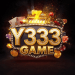Y333 Game