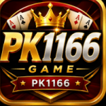 PK1166 Game